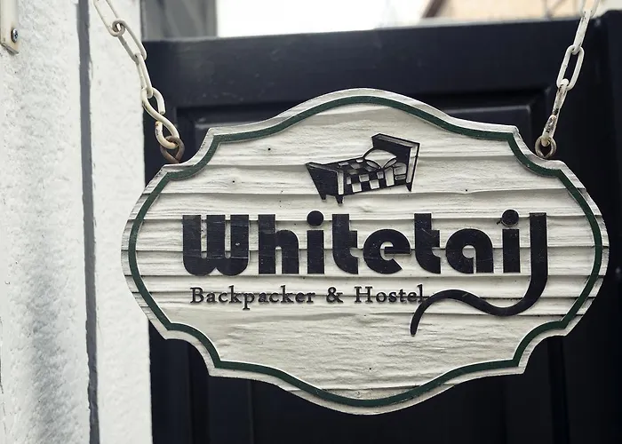 Whitetail 招待所